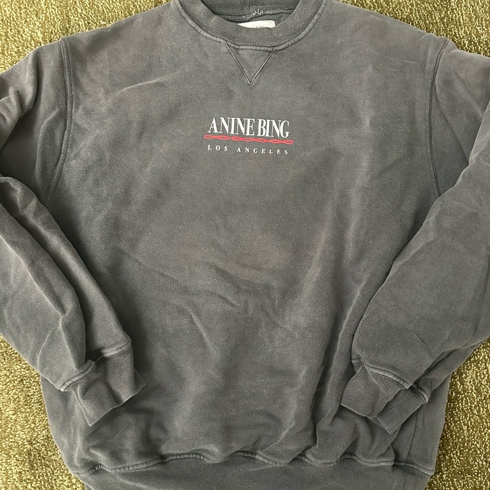 Anine Bing Gray Sweatshirt